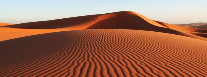 О карьере и семье