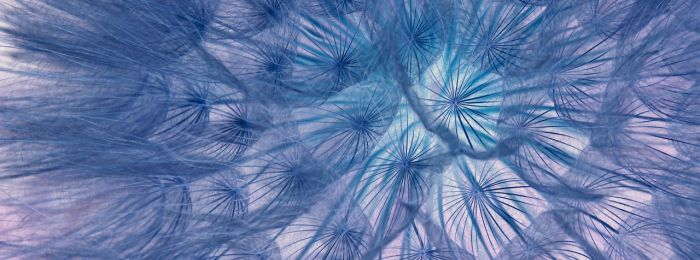 Формирование негативных коннотаций в социальной среде и их влияние на процесс работы в гештальт-терапии