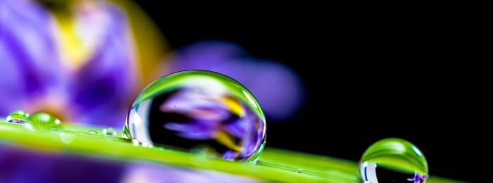 Интимный терроризм. Эпилог: Повторное утверждение романтики