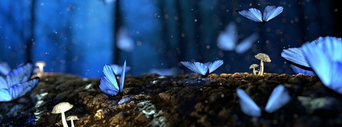 Расширение позиций и фокуса супервидения с учетом отношений в гештальт-сообществе