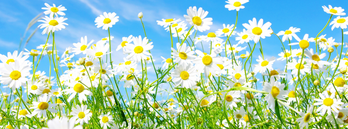 Просто так...