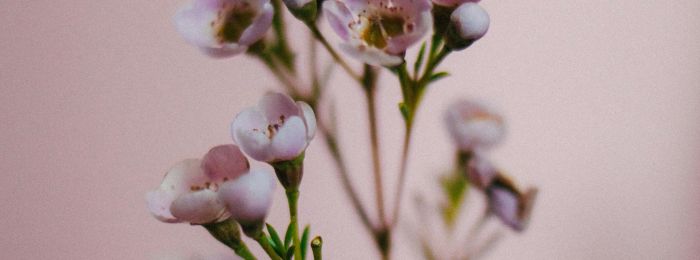 Наратив в гештальт-терапії