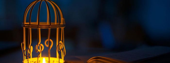 От феномена  к  Интенциональности контакта