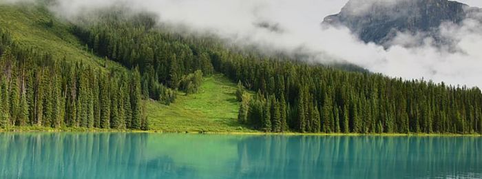 Размышления обучающего тренера