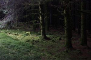 Страхи, які нам заважають жити