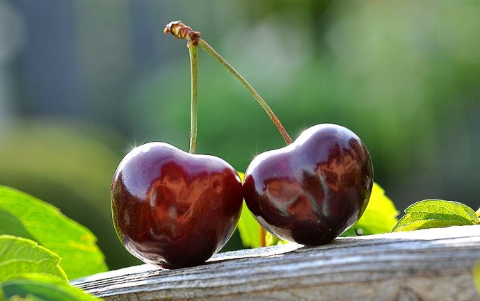 “Сексуальність. Чого хоче жінка?”