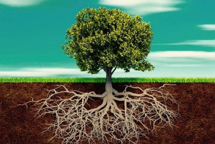 Лекція Ірени Голуби. День 2