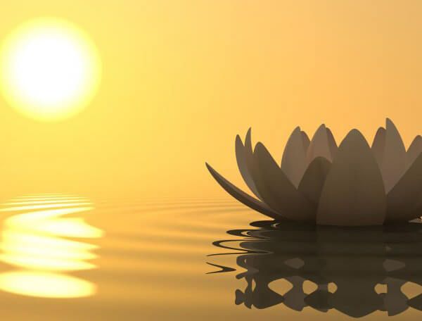 Лекція 6-2. Парадоксальна теорія зміни.