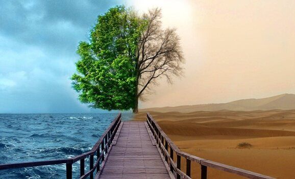 Історія розвитку гештальт-терапії. Різні школи і стилі гештальт-терапії у світі, Україні