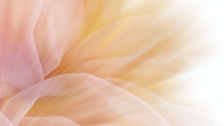 “Психосоматика як розмова душі і тіла”