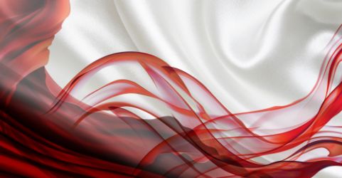 Доповідь “Базові речі в роботі психотерапевта з запитами сексологічного напрямку: цикл сексуального контакту, знижене лібідо”