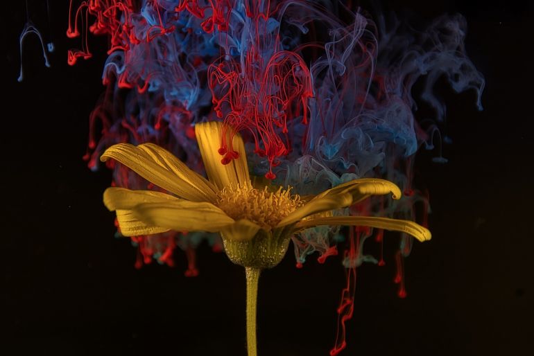 Лекція 4-4. Ретрофлексія: розширене бачення. Ретрофлексивні сни