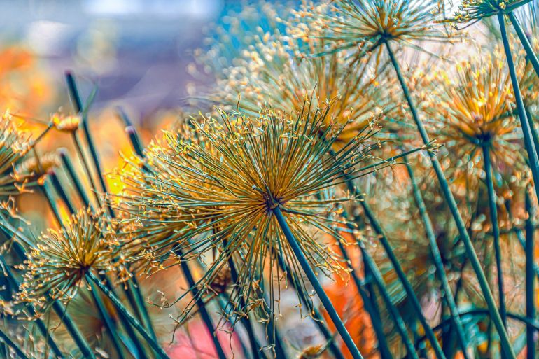 Сучасна концепція самопідтримки з позицій гештальт-терапії