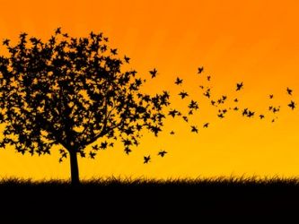 Історія становлення та перспективи розвитку MIGIS