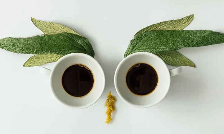 Філософія гештальту. Цінності та смисли в реальному житті