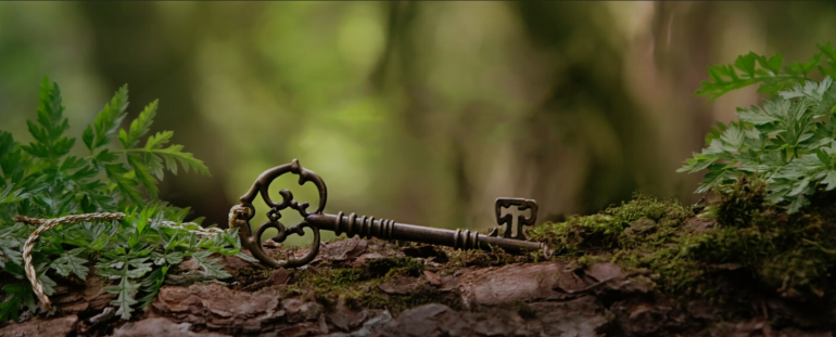 Therapeutic field: how not to “treat” the client