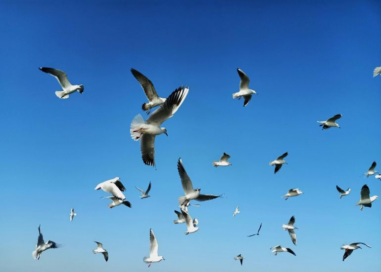 Супервізійний чотириденний семінар