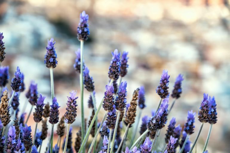 30.09 Супервізія