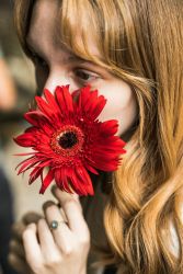 Феномени відносин близькості та залежності