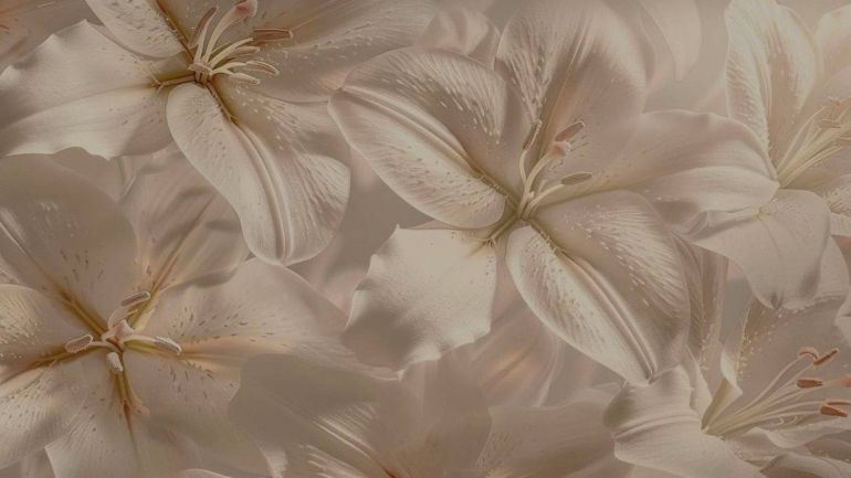 20.05 Лекції 2 Ступеня